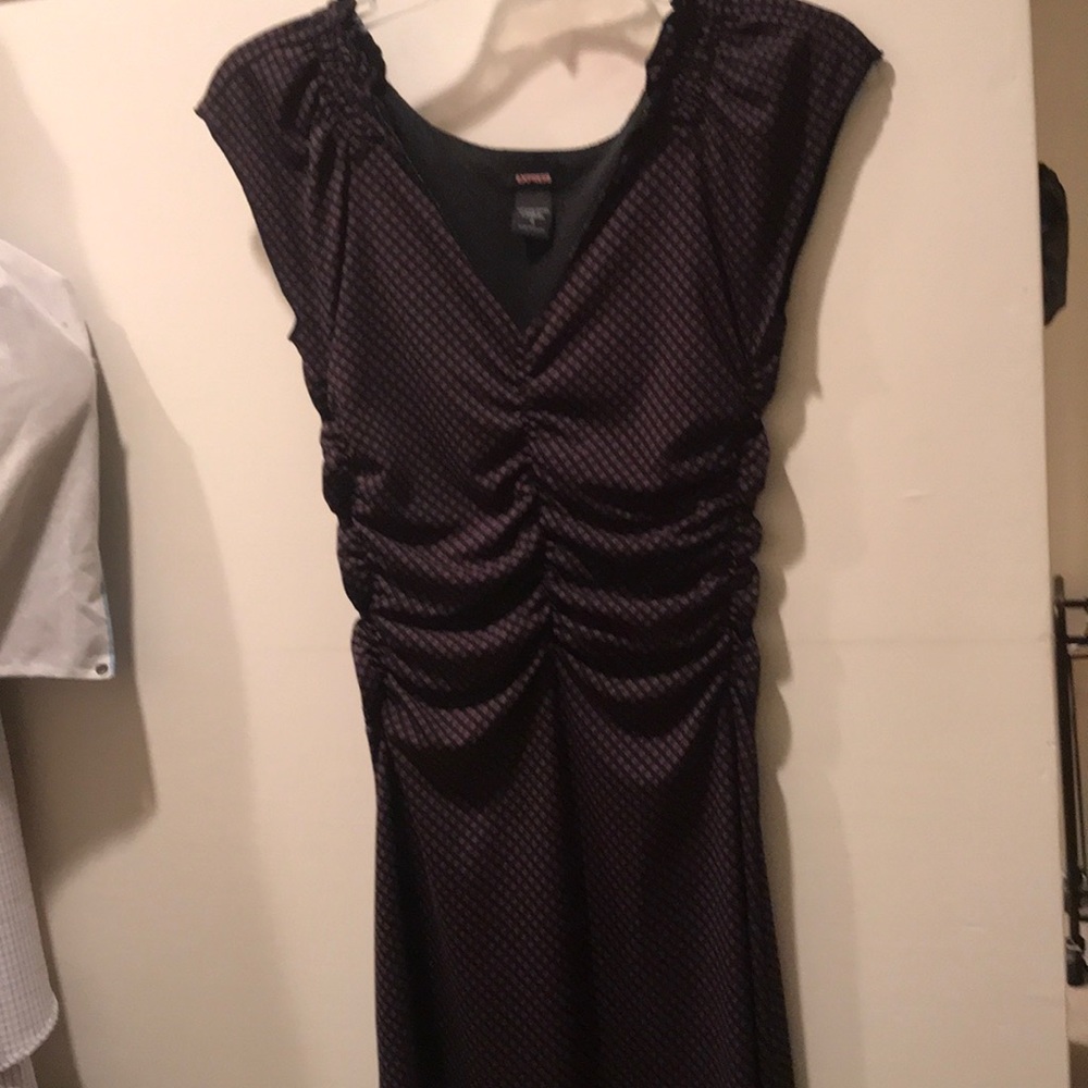 Express Dress - Picture 5 of 5
